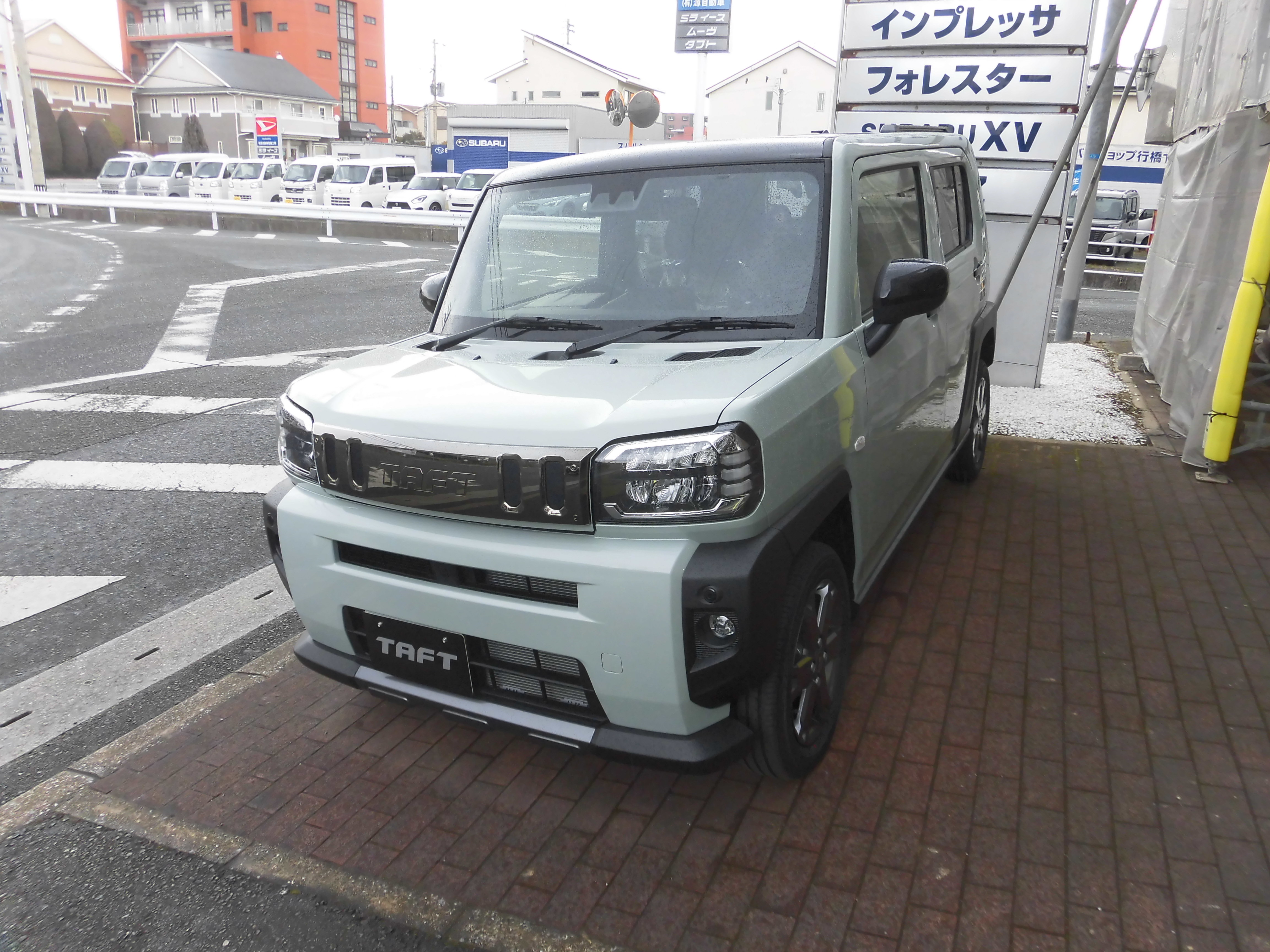 タフト　ダーククロムベンチャー